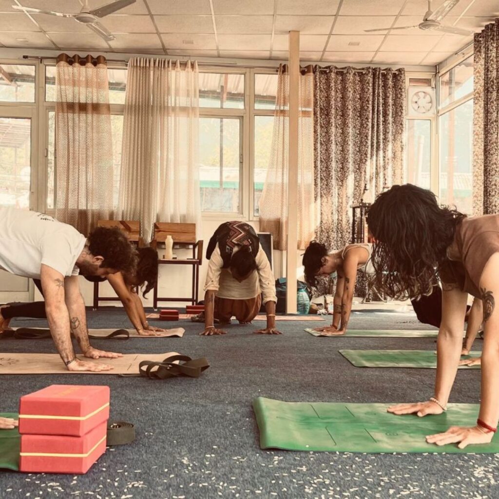 Hatha Yoga at Prakruti Yogashala