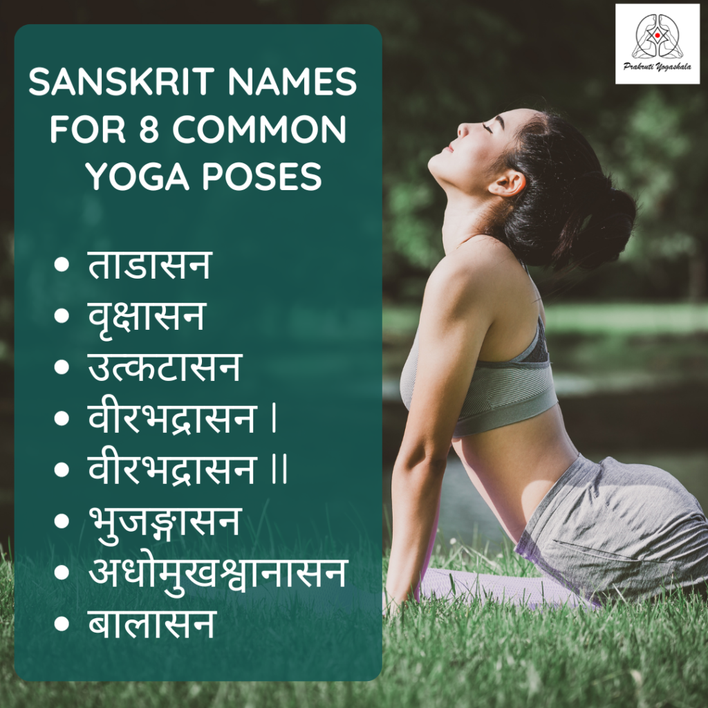 Sanskrit Name for 8 yoga poses
